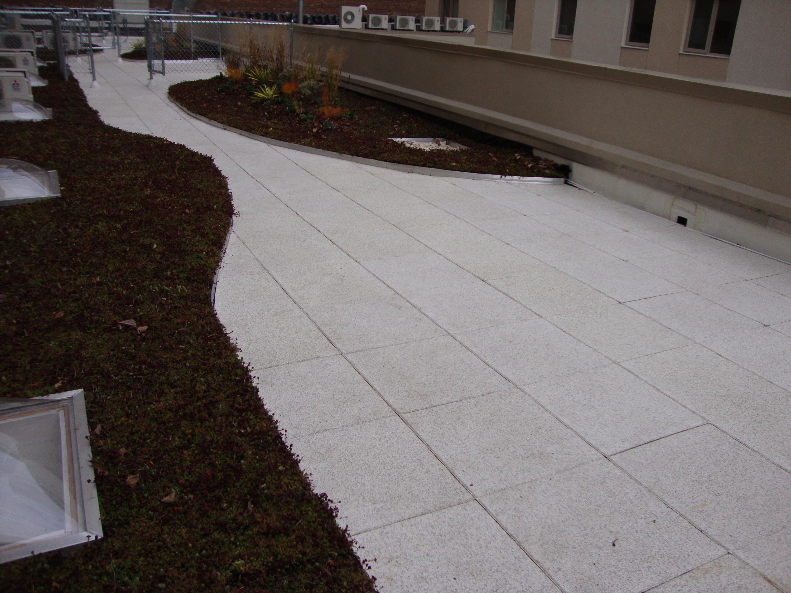 Rubber Pavers On Top Of Green Roof System j