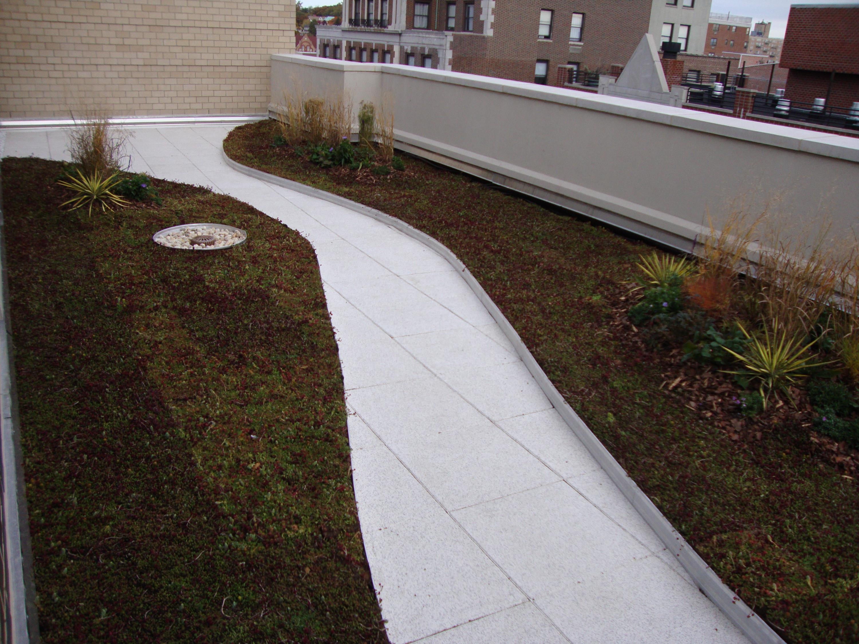 Rubber Pavers On Top Of Green Roof System b