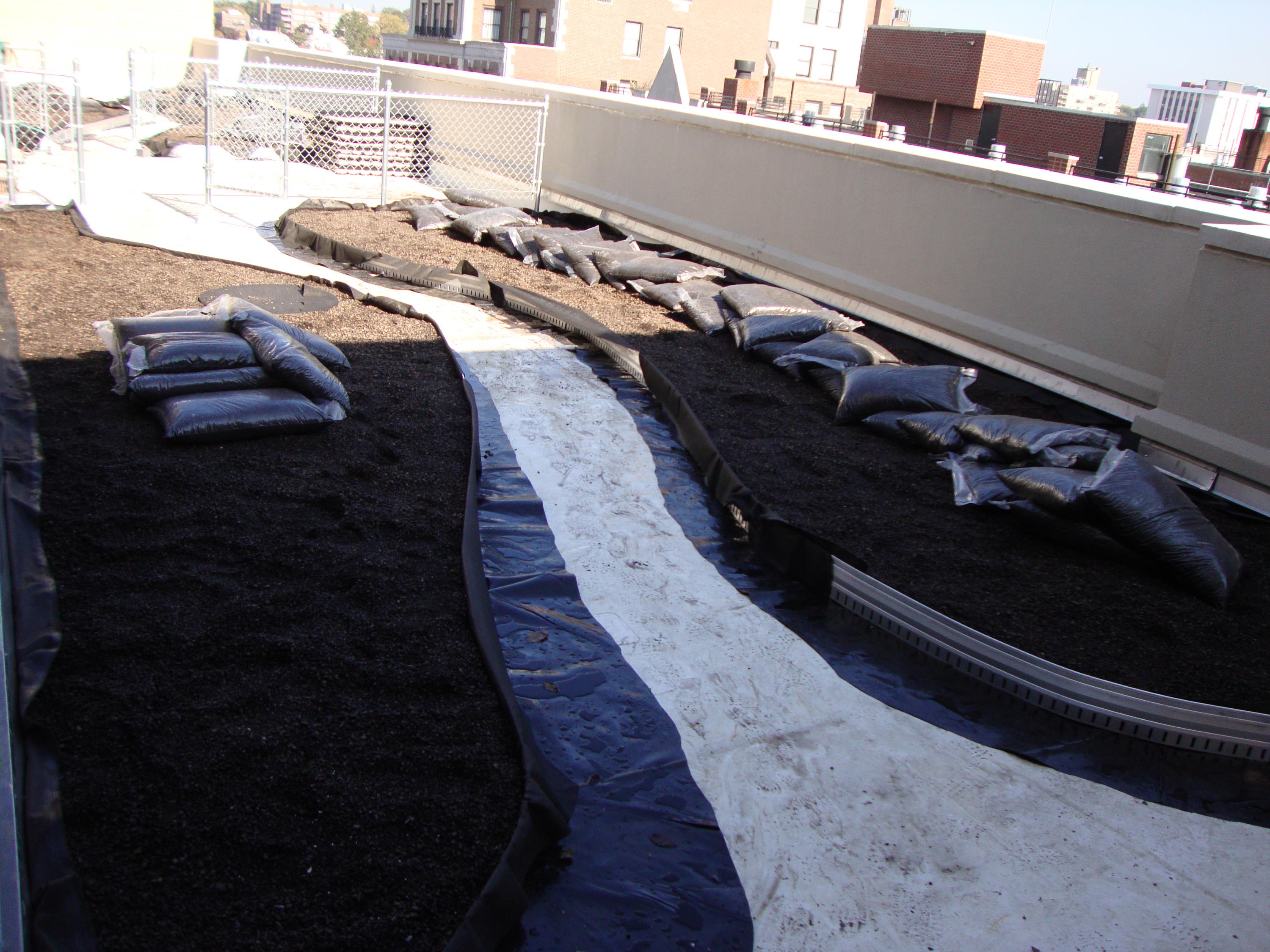 Rubber Pavers On Top Of Green Roof System e