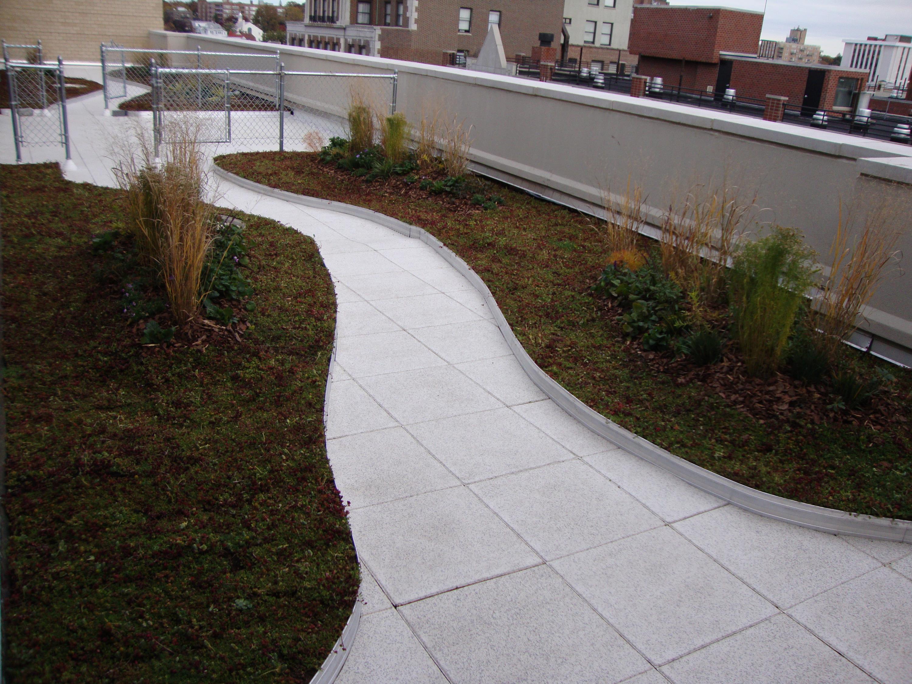 Rubber Pavers On Top Of Green Roof System f