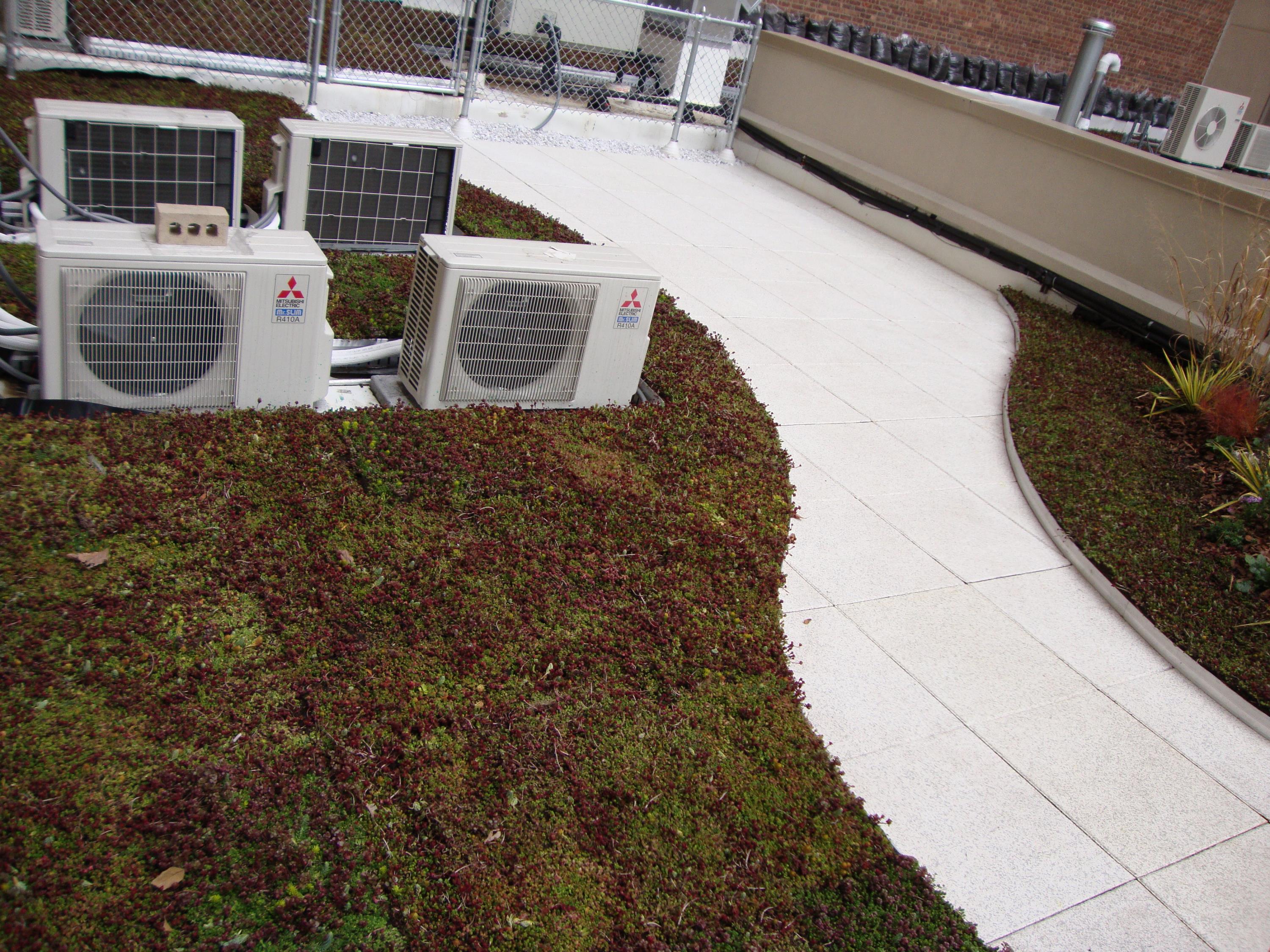Rubber Pavers On Top Of Green Roof System h
