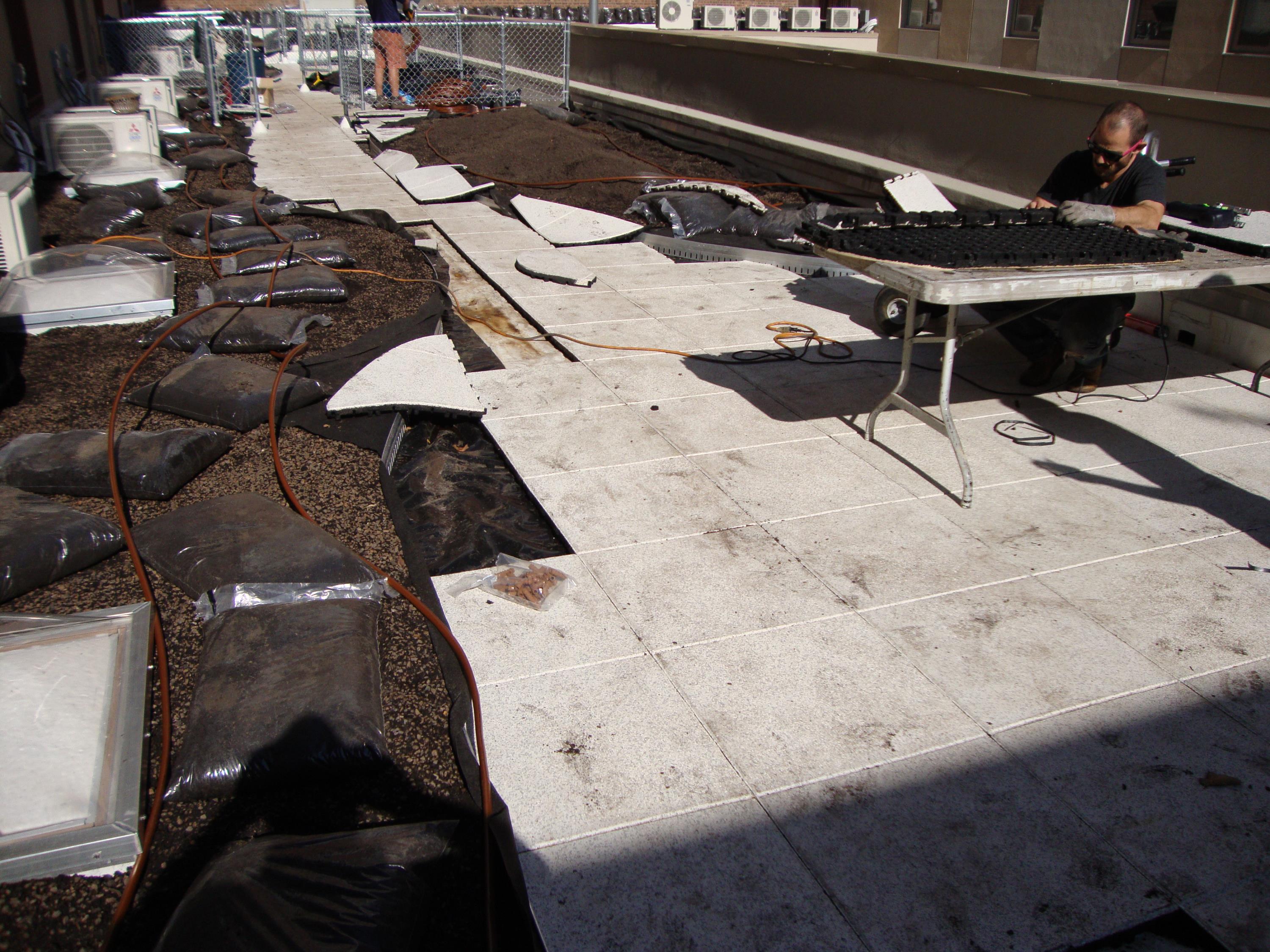 Rubber Pavers On Top Of Green Roof System i