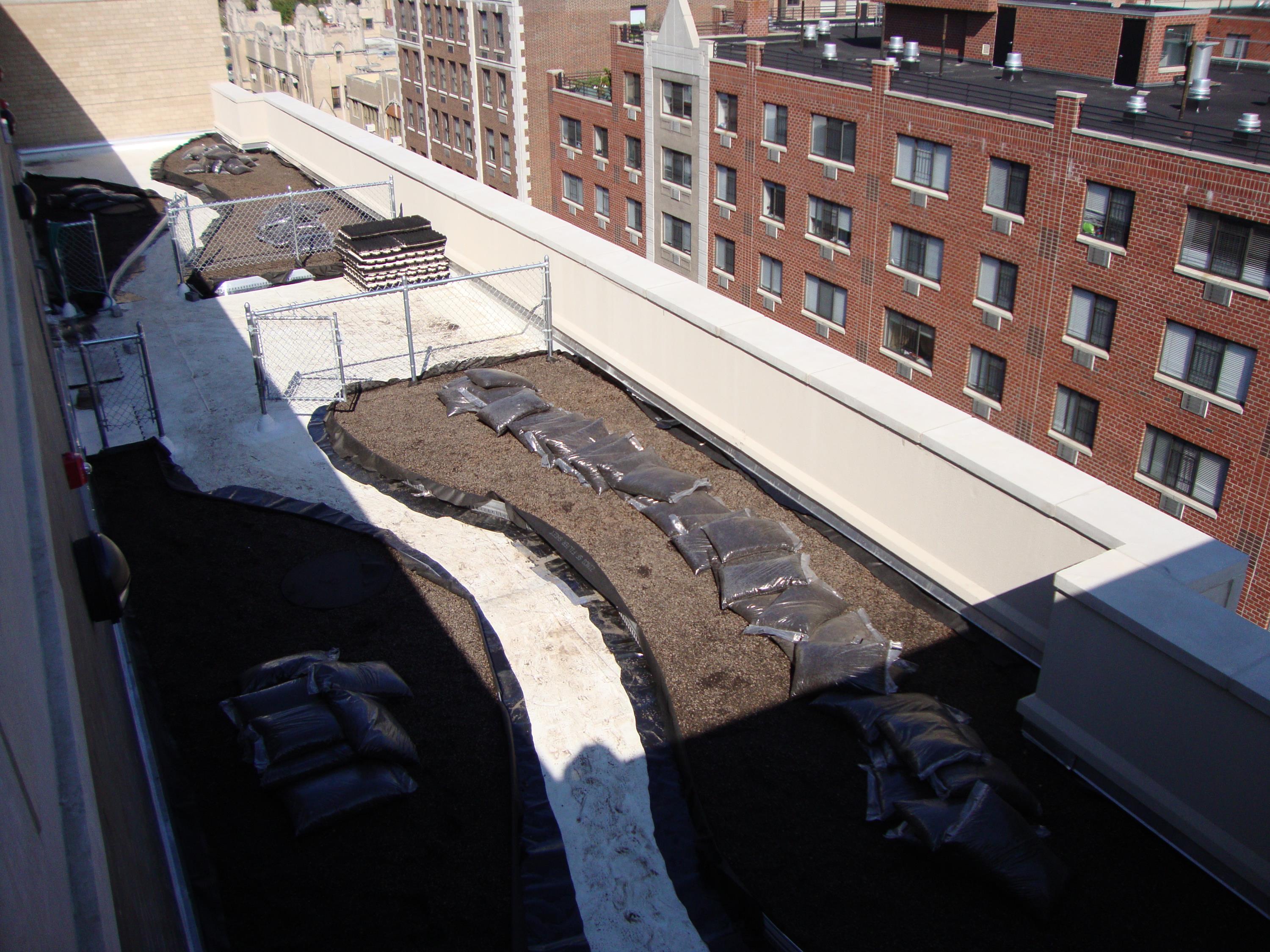 Rubber Pavers On Top Of Green Roof System k