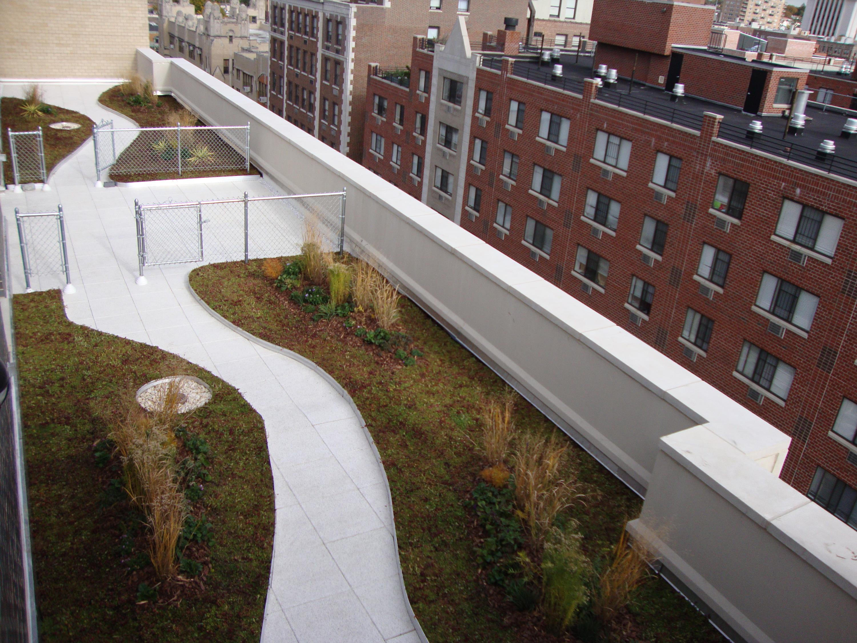 Rubber Pavers On Green Roof Walkway Area and Patio